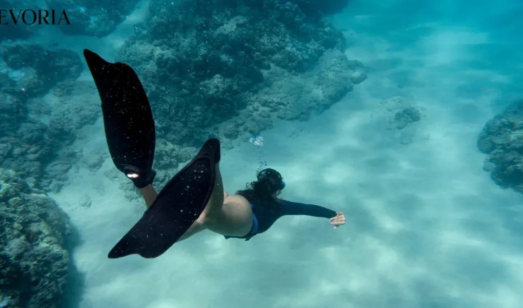 Best Places to Snorkel in the World