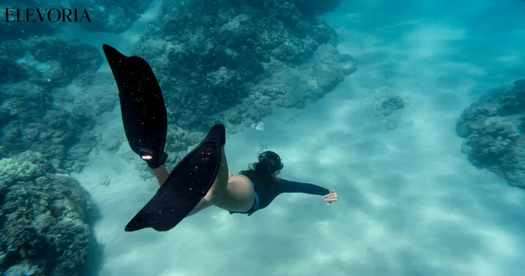 Best Places to Snorkel in the World