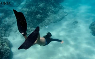 Best Places to Snorkel in the World