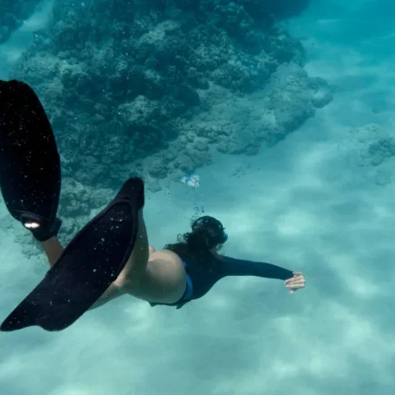 Best Places to Snorkel in the World
