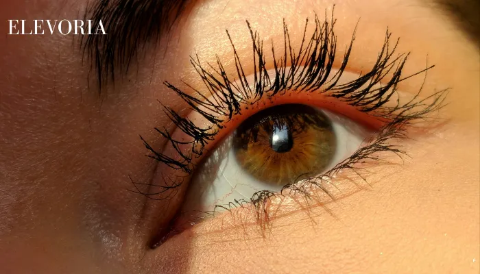 Permanent Eyeliner