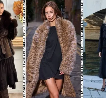 Fur and Coat