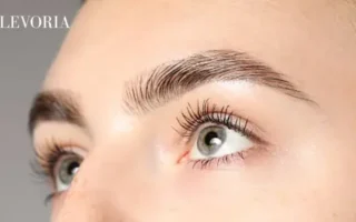 Eyebrows