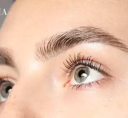 Eyebrows
