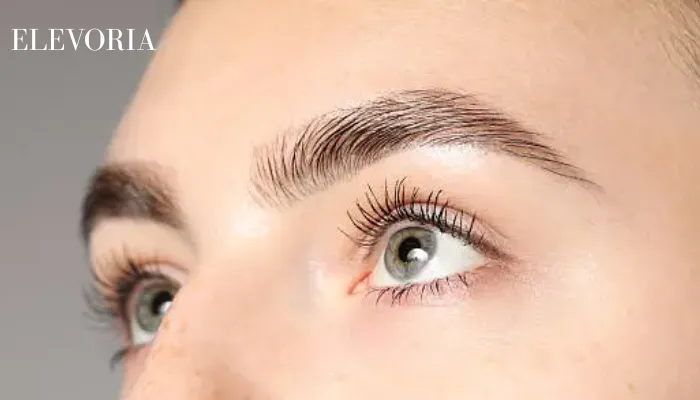 Eyebrows